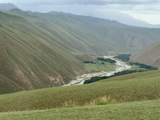 c12cdb11638b9f8aa5af0c85e7d1367d