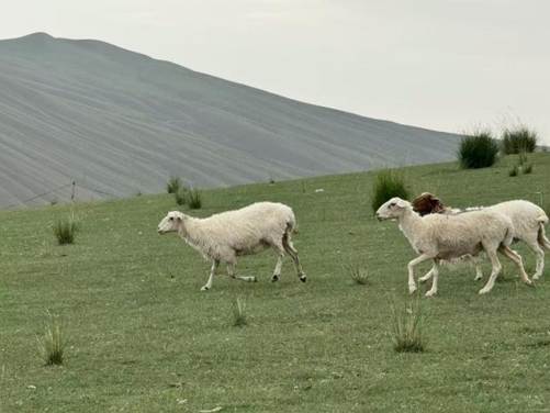 90265d6c9c4b093b4261ba1eda26bac0