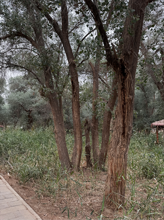 2025-08-27 15:59:19.503000