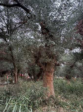 2025-08-27 15:59:18.930000