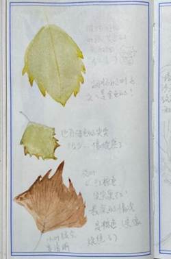 微信图片_2025-08-20_232810_420