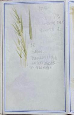 微信图片_2025-08-20_232819_771